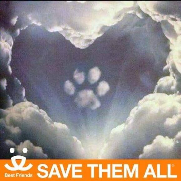 Meet your Posher, Nancy - Picture 1 of 1